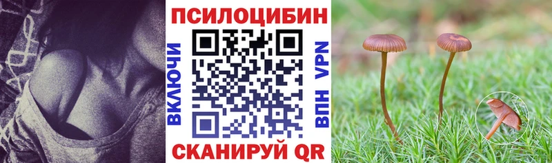 Галлюциногенные грибы прущие грибы Медвежьегорск