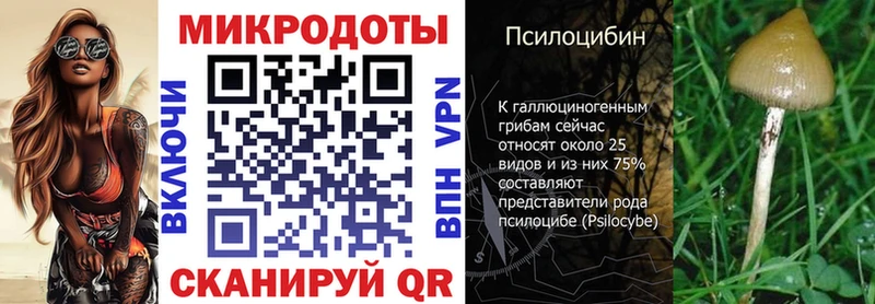 Галлюциногенные грибы мицелий Медвежьегорск